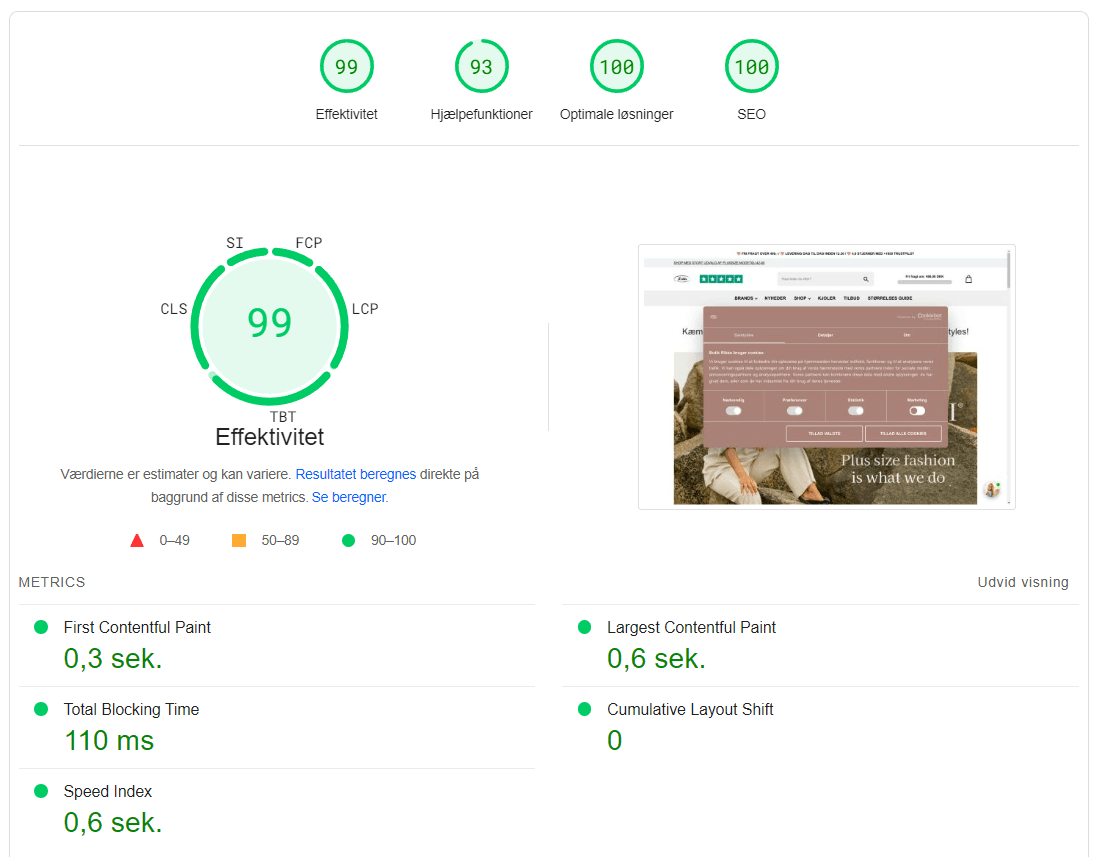 Hastighedstest Pagespeed Insights